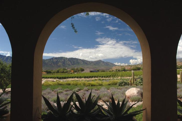 Estancia Colome 莫利诺斯 外观 照片